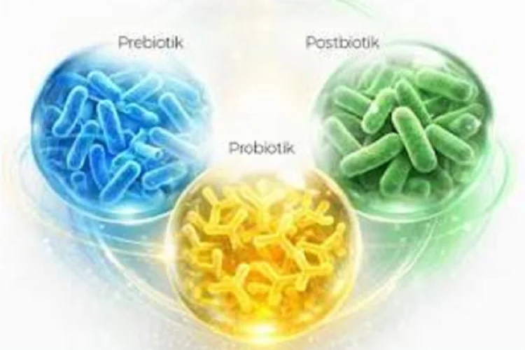 Suplemen Postbiotik Makin Populer, Benarkah Perlu Dikonsumsi?