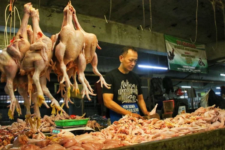 Harga Daging Ayam di Jawa Barat Naik, Pemprov Soroti Rantai Distribusi