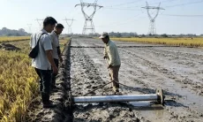 Uji Coba PM-AAS Tabela Tembus 16,5 Hektare, Lampaui Target Distan