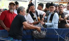 Sinergi KDMP dan MBG Beri Kepastian Pasar Budi Daya Desa