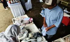 Produksi Perikanan Kabupaten Cirebon Melonjak, Budi Daya Tembus Rekor 7 Juta Ton di A