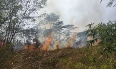 Kebakaran Alang-alang 1 Hektare Dipicu Puntung Rokok