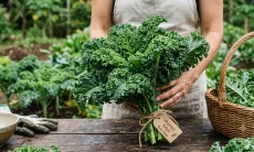 8 Manfaat Sayuran Kale untuk Kesehatan, Baik untuk Diet Turunkan Berat Badan