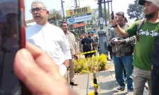 Pohon Ditebang  Berbuntut Panjang