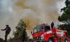 Karhutla Gunung Bromo Meluas ke Probolinggo dan Malang, Medan Terjal Jadi Kendala