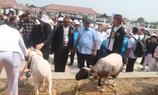 Pasar Hewan Jonggol Dukung Kemajuan Peternakan