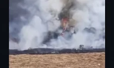 ​Lembah Suryakencana Gunung Gede Pangrango Terbakar, Asap Tebal Membumbung Tinggi