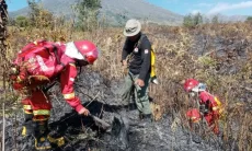 Kebakaran Hutan Gunung Rinjani, 30 Hektare Lahan Terdampak