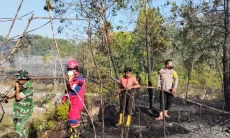 2026, Karhutla di Penajam Paser Utara Capai 9,99 Hektare