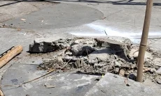 Tanam Pohon 5 Meter di Kota Bandung Bakal Bersamaan dengan Pembongkaran Trotoar
