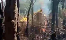 Gunung Gede Sempat Terbakar, Pemkab Cianjur Tingkatkan Kesiapsiagaan Kebakaran Hutan