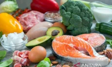 Bukan Cuma Menu, Waktu Makan Malam Ternyata Berpengaruh pada Jantung dan Gula Darah