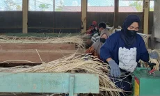CORE Nilai Hilirisasi Perlu Selaras dengan Keterampilan Tenaga Kerja
