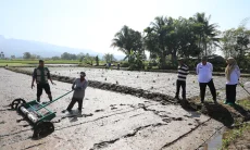 Metode Tabela Didorong Tingkatkan Produksi Padi Kota Tasikmalaya