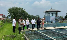 Jelang HUT RI, Golkar Salurkan 350 Ribu Benih Ikan untuk Warga Dapil II Jabar