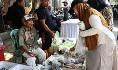 DKPP Dorong Konsumsi Ikan, Perkuat Gizi dan Pasar Produk Lokal