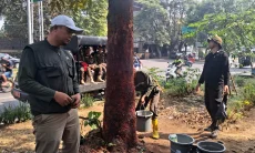 DLH Bandung Rawat 10 Pohon di Jalan Pahlawan yang Kulitnya Dikelupas
