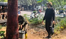 DLH Bandung Cari Pelaku yang Kuliti Pohon di Jalan Pahlawan, Motif Belum Diketahui