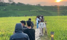 Swasembada yang Menyala di Tanah Majelengka