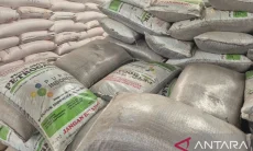 Harga Pupuk Turun, Beban Biaya Produksi Berkurang