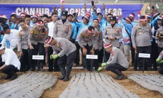 Polri Tanam Serentak Bawang Putih di 14 Daerah di Jabar