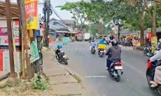 Pembangunan Drainase Cihanjuang, 32 Pohon Terancam Ditebang