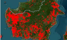 38.310 Hektar Hutan di Kalimantan Barat Kebakaran hingga Bulan Agustus Ini