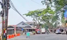 Soal 32 Pohon Terdampak Drainase Cihanjuang, DLH Cimahi Bakal Hitung Nilai Karbon
