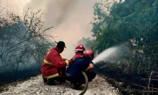 Hutan Membara 72 Jadi Tersangka