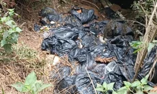 Sampah Diduga Sisa MBG Dibuang ke Sungai di Bandung, Warga Keluhkan Bau Busuk