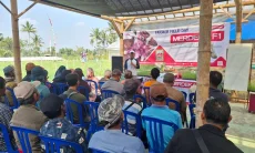 Petani Bawang Merah Hadapi Kemarau, Ewindo Dorong Inovasi Budidaya