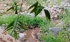 Air Sungai Cidadap Berubah Hitam, DLH KBB Temukan Aliran Limbah Pabrik Tepung Tapioka