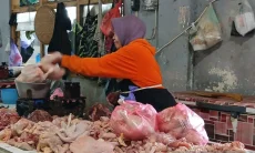Harga Daging Ayam di Cirebon Tembus Rp40 Rib