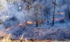 170 Pendaki Masih di Ranu Kumbolo Saat Kebakaran Gunung Semeru, Evakuasi Dilakukan