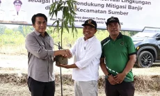 Pemkab Cirebon Tanam 150 Pohon dan Buat Rorak untuk Cegah Banjir di Sidawangi