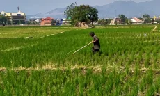 DPRD Jabar Minta Petani Awasi Penyaluran Pupuk Bersubsidi, Jangan Dijual di Atas HET
