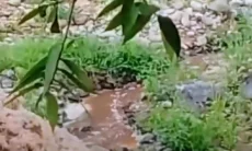 Cegah Pencemaran Sungai Cidadap, DLH KBB Beri Pembinaan Pabrik Tapioka 