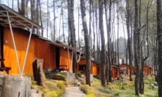 Great Panorama Lodge & Camp, Hidden Gem di Tengah Hutan Pinus Bandung Barat