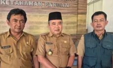 Jaga Produksi Padi, Pemkab Sumedang Optimalkan Irigasi Tersier