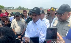 Mentan Amran Sidak Sawah Karawang, Pompanisasi Didorong untuk 3 Kali Tanam
