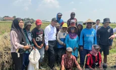 Ubah Regulasi demi Buruh Tani