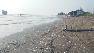 Warga Kaget Bocoran Minyak Sepanjang Pantai, Diduga Bocoran Minyak Proyek Pertamina
