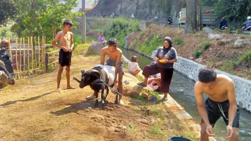 Arus Sungai Menempa Napas Para Jawara