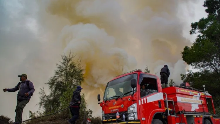 Karhutla Gunung Bromo Meluas ke Probolinggo dan Malang, Medan Terjal Jadi Kendala
