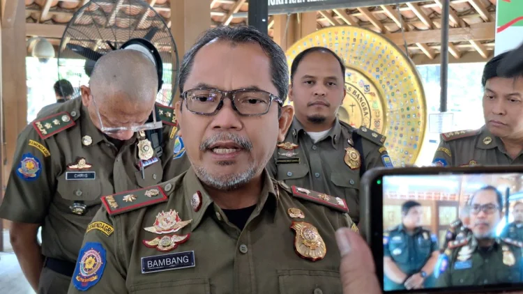Kasus Penebangan Pohon Meningkat, Satpol PP Kota Bandung Fokus Penindakan