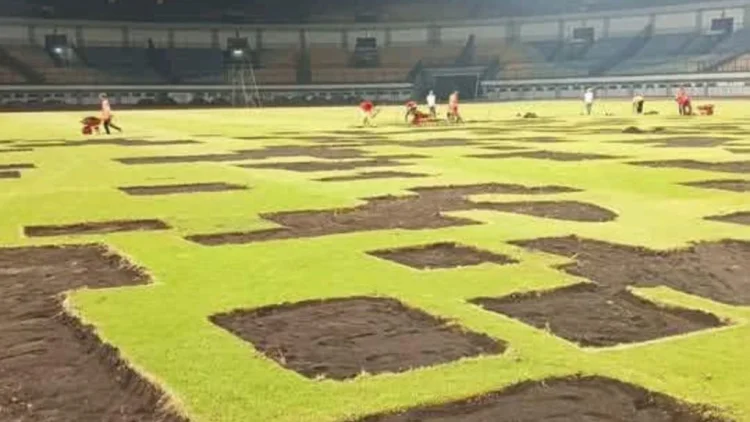 Perbaikan Rumput GBLA On the Track