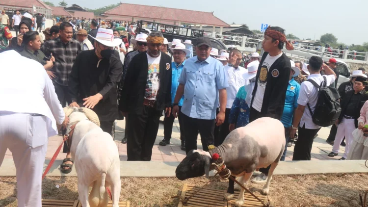 Pasar Hewan Jonggol Dukung Kemajuan Peternakan