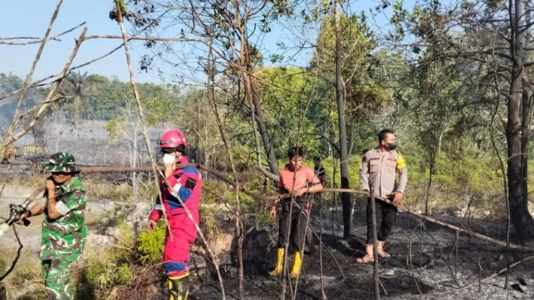 2026, Karhutla di Penajam Paser Utara Capai 9,99 Hektare