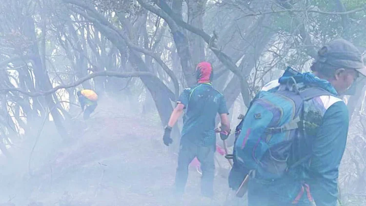Memburu Api di Lereng Gunung Gede