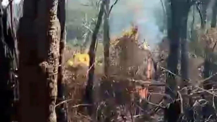 Gunung Gede Sempat Terbakar, Pemkab Cianjur Tingkatkan Kesiapsiagaan Kebakaran Hutan